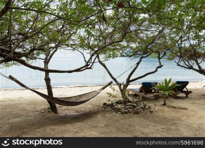 Hammock in the shade of a tree on a tropical beach