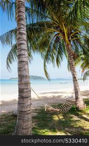 Hammock in the shade of palm trees on a tropical beach. Hammock in the shade of palm trees