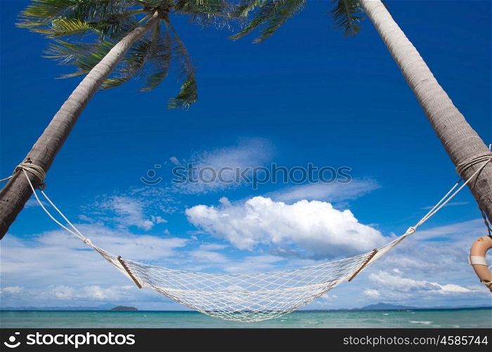 Hammock on beach. Palm trees and hammock on tropical beach
