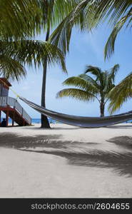 Hammock on the beach, Luquillo Beach, Puerto Rico