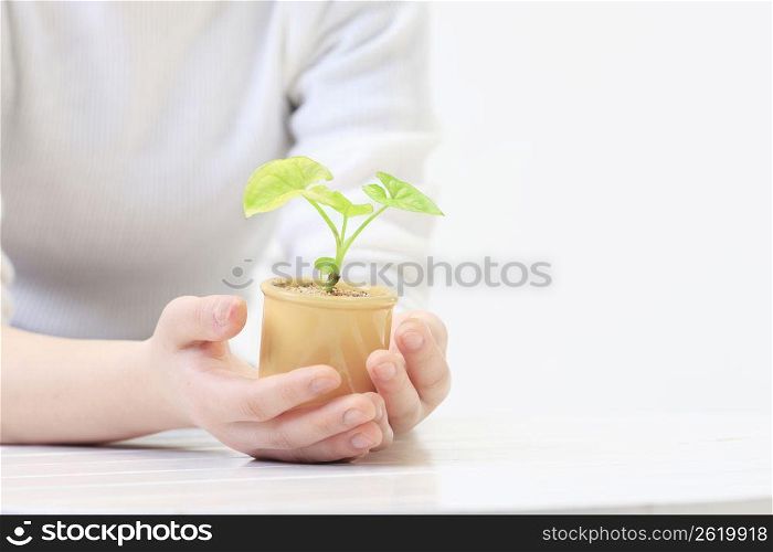 Hand and flowerpot