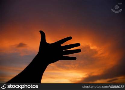 hand at the sunset