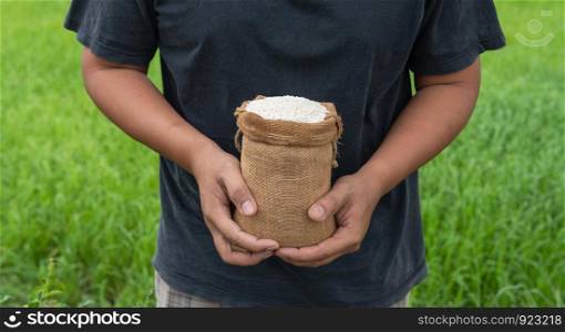 Hand bags of paddy sacks green rice background