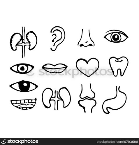 Hand draw body organ icon illustration doodle design