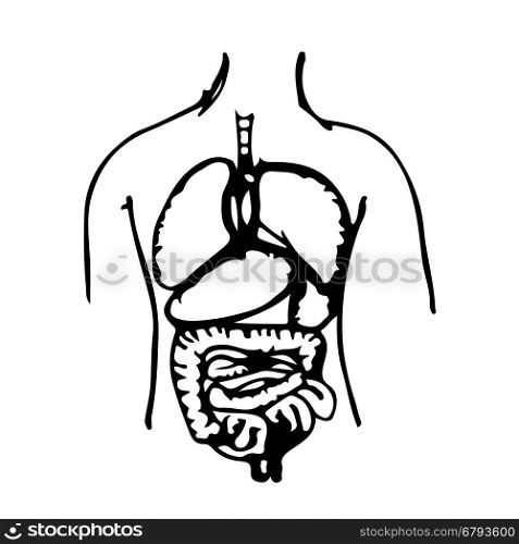 Hand draw body organ icon illustration doodle design