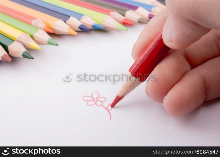 Hand drawing near color pencils on a white background