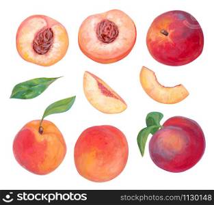 Hand drawn bright fruits set. Realistic drawing with acrylic paint. Peach fruits, whole, leaves, cut and slice of peaches isolated on white. Botanical elements for design. Collection of organic food.