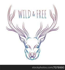 Hand drawn colorful deer and lettering. Hand drawn colorful deer and lettering sign wild and free. Vector isolated deer for prints stickers etc