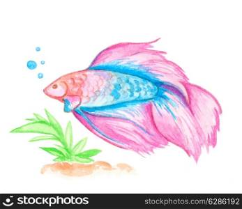 Hand drawn decorative watercolor pink aquarium fish