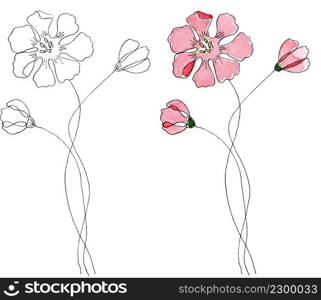 Hand drawn field flower. Isolated on white background. Watercolor and liner