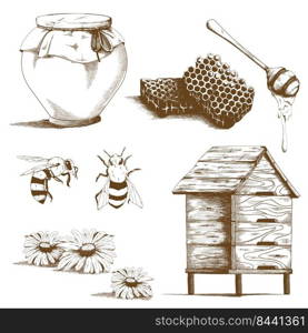 Hand drawn honey sketch elements. Vintage design sketches for flyers with bees, honeycomb and flowers isolated vector illustration. Organic food and natural product concept