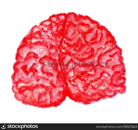 Hand drawn illustration of human brain painted in watercolors.