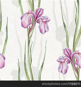 Hand drawn Seamless watercolor pattern with iris flowers. Watercolor pattern with spring iris flowers