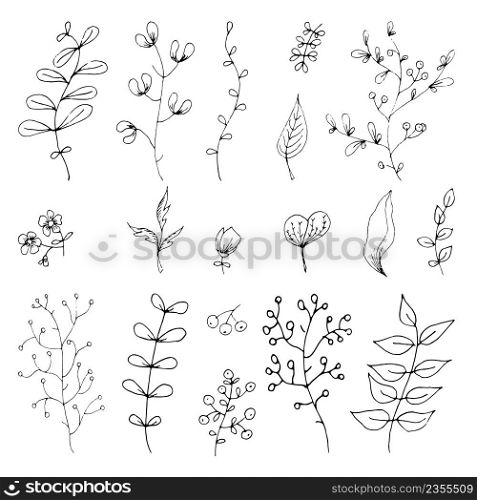 Hand drawn set of wild flowers. Field flowers. Liner