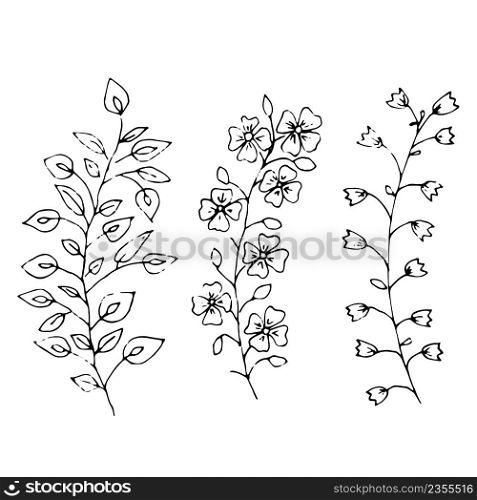 Hand drawn set of wild flowers. Field flowers. Liner