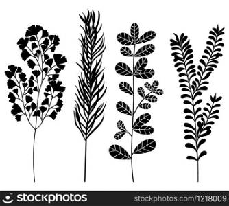 Hand drawn vector vintage elements. Wildflowers set isolated on white background.