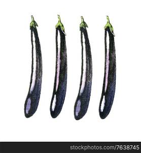 Hand-drawn watercolor image of eggplant. JPEG only