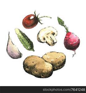 Hand-drawn watercolor image of vegetables. JPEG only