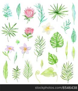 Hand drawn watercolor set of tropical flowers and green leaves isolated on a white background.. Watercolor set of tropical flowers