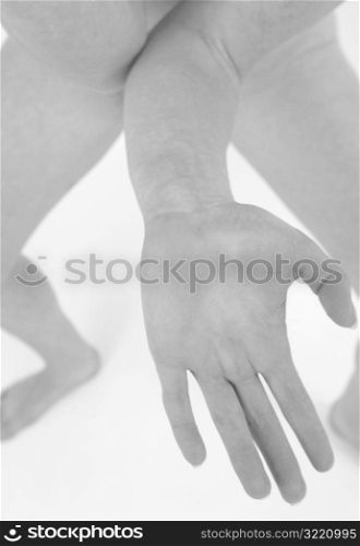 Hand Elbows And Legs Of Female Nude