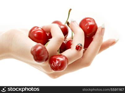 hand full of red cherries over white