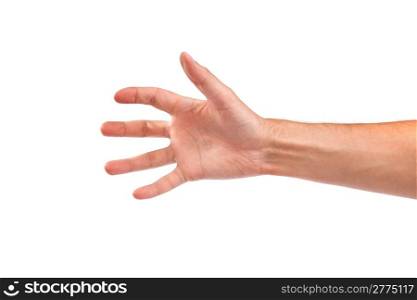 Hand gesture of male isolated on a white background
