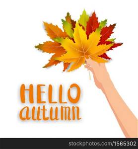 Hand hold autumn colorful leaves bright bouquet fall, floral. Hello Autumn lettering. Hand hold autumn colorful leaves bright bouquet fall, floral. Hello Autumn lettering. Vector illustration isolated