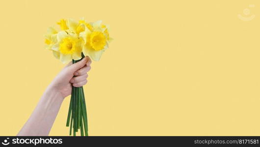 Hand hold bouquet of yellow daffodils flowers, Easter bells isolated on yellow background. Blooming spring flowers. Mockup, template for holiday, birthday, mother’s day. Banner, header with copy space