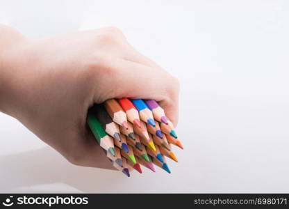 Hand holdin color pencils on a white background