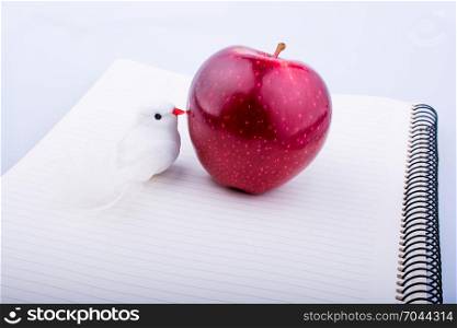 Hand holding a beautiful red apple on a whiteb background