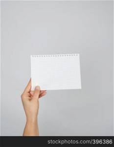hand holding a blank white sheet in a cell on a gray background
