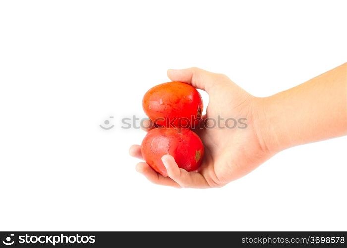 Hand holding a couple of fresh tomatoes