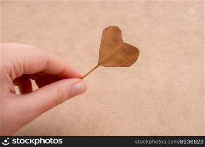 Hand holding a dry autumn leaf in hand on a brown background
