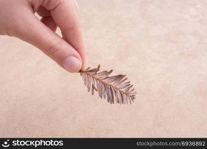 Hand holding a dry autumn leaf in hand on a brown background