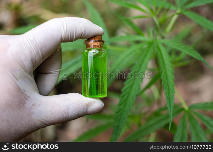 Hand holding a glass bottle with CBD oil and cannabis leaf at the background, medical marijuana concept