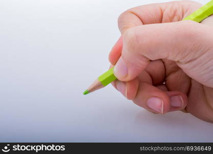 Hand holding a green color pencil on a white background