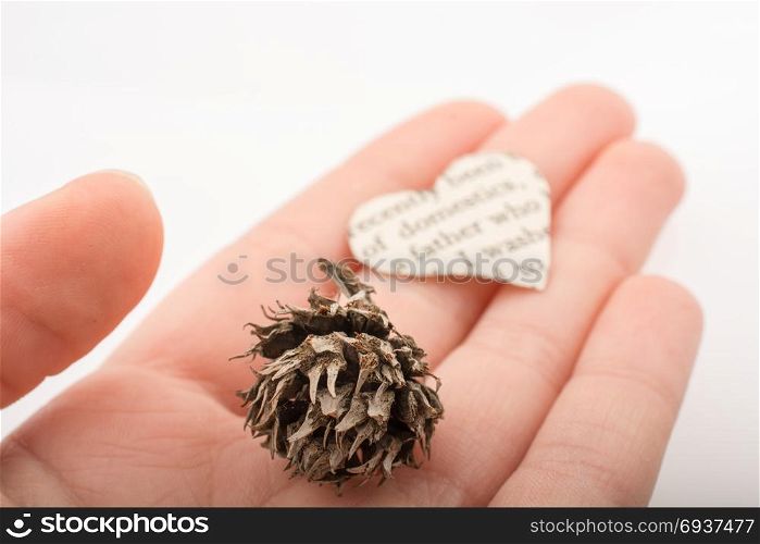 Hand holding a heart shaped burnt out of a texted paper