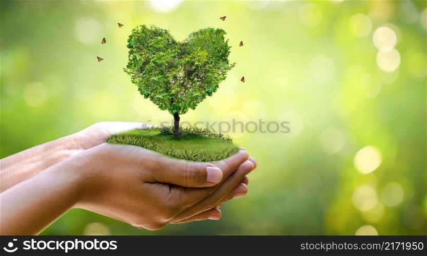 hand holding a heart tree environment earth day