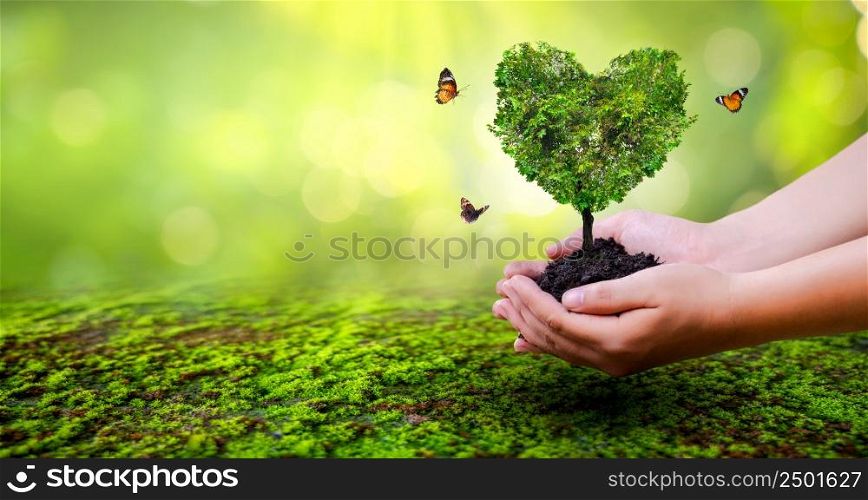 hand holding a heart tree environment earth day