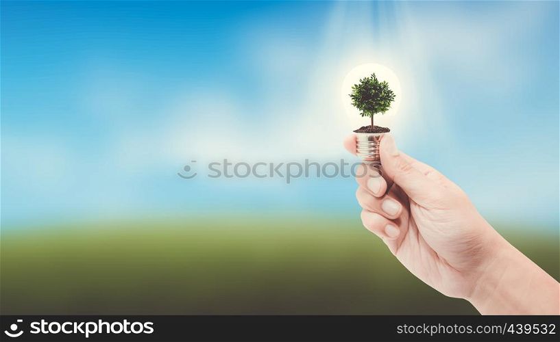 hand holding a light bulb with energy and fresh green tree inside on nature background, environment and ecology concept.