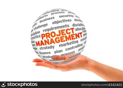 Hand holding a Project Management 3d Sphere.