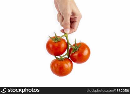 Hand holding a red tomato vegetable , isolated on white background
