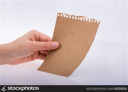 Hand holding a sheet of paper on a white background