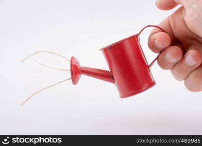 Hand holding a watering can with strawsb but without water on a white background