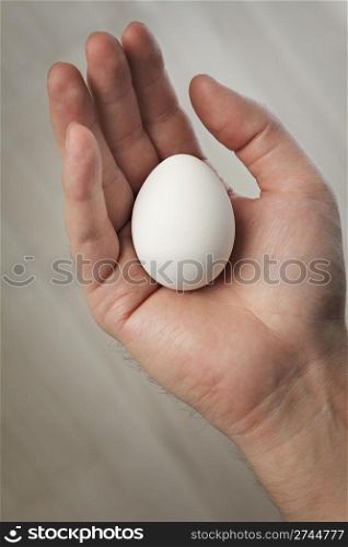 Hand holding a white hen egg