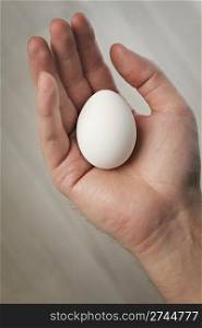 Hand holding a white hen egg