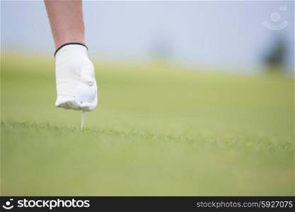 Hand holding ball and tee at golf course
