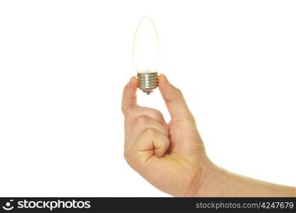 hand holding bulb isolated on white background