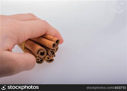 Hand holding cinnamon sticks on a white background