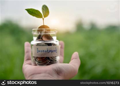 Hand holding Coins Money in jar Concept Saving financials investment and Business growth Save future,Tree growth on coins in jar